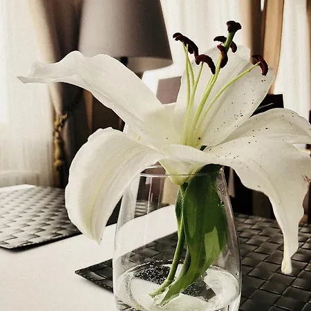Gołąbek Hotel 3*